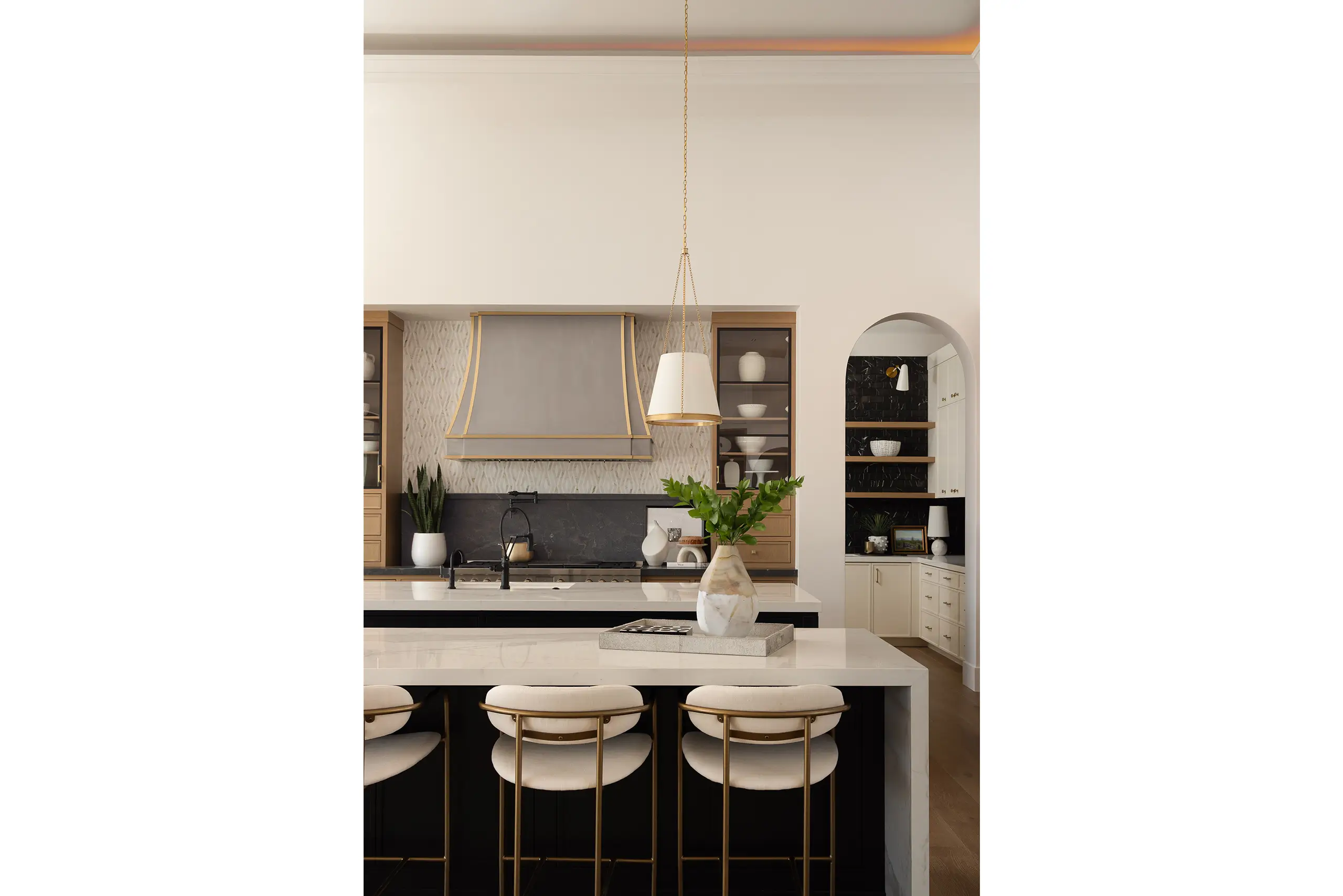 Mountain View Luxe Transitional